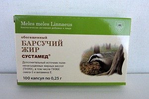 Барсучий жир: состав, полезные свойства, применение