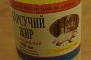 Барсучий жир: свойства невероятной силы!