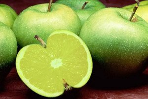 Растительная клетчатка Растительная клетчатка