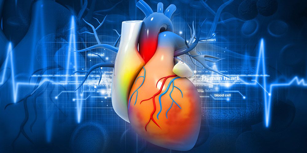 ecg-pri-gb