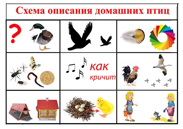 использование мнемотаблиц